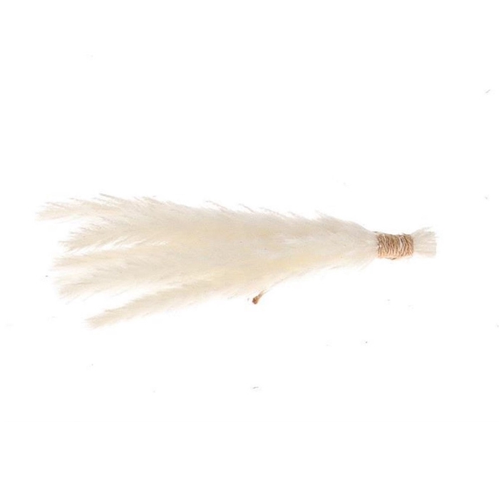 <h4>Dried flowers Hanging fluffy 25cm</h4>