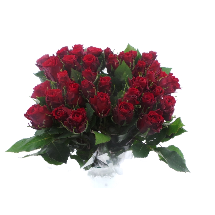 <h4>Bouquet Mono Rozen Rood x10 50cm</h4>