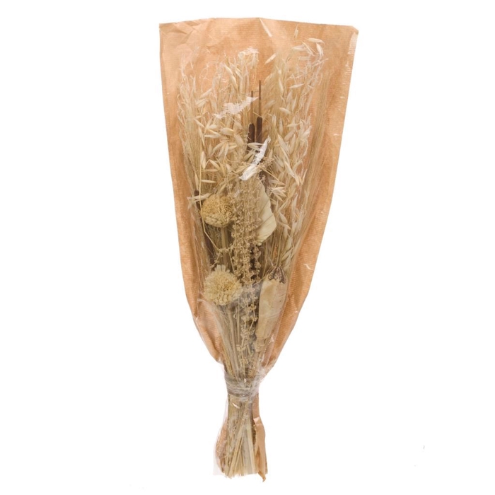 <h4>Bouquet fox ball mehogany bleached white</h4>