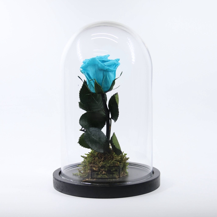 <h4>Stolp d12x20h turquoise stand. glas</h4>
