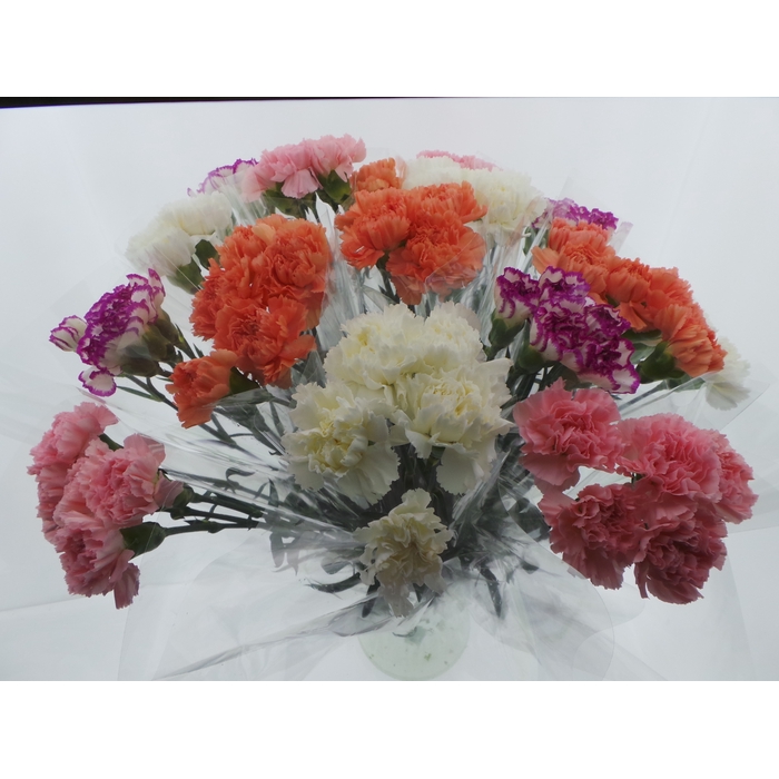 <h4>Bouquet Mono Anjers x5 mix 60cm</h4>