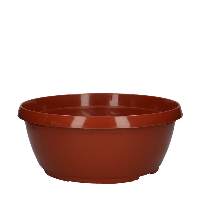 <h4>All Saints Bowl classic d30*13cm</h4>