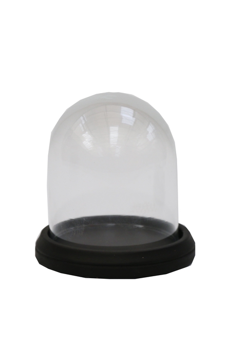 <h4>DF01-662900500 - Terrarium Socle d8xh10.5 clear+black</h4>