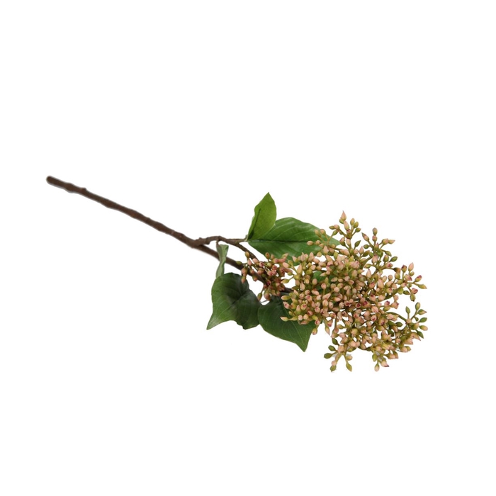 <h4>Af Cornus Cibil L52cm Roze</h4>