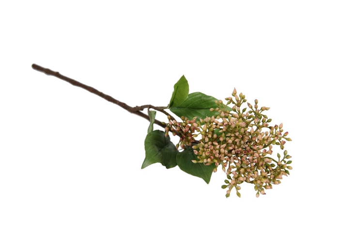 <h4>Af Cornus Cibil L52cm Roze</h4>
