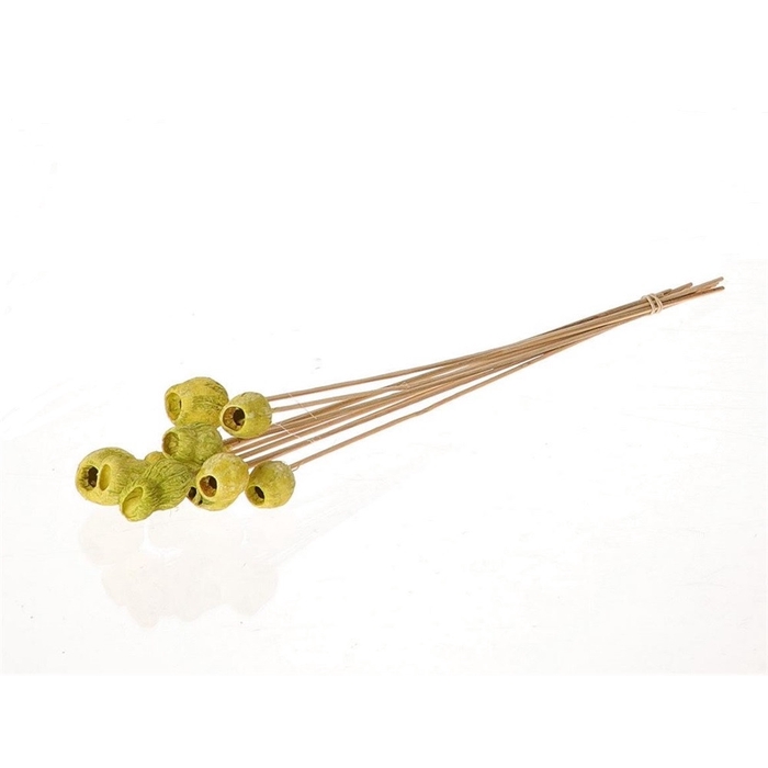 <h4>Bijsteker 50cm Bellgums 3cm</h4>