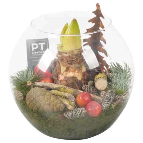 <h4>PTACH7985 Arrangementen Kerst</h4>