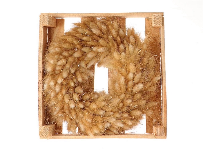 <h4>Wr Lagurus Naturel D30</h4>