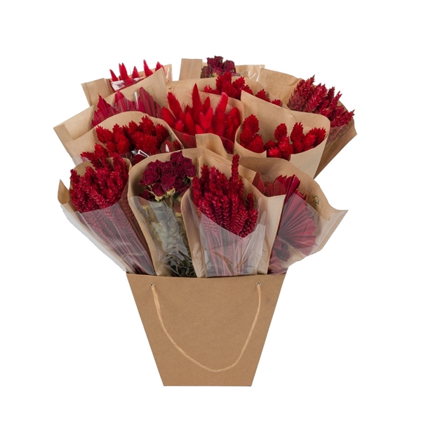 <h4>Droogbloemen-Dried Mono Mix 50cm-Red</h4>