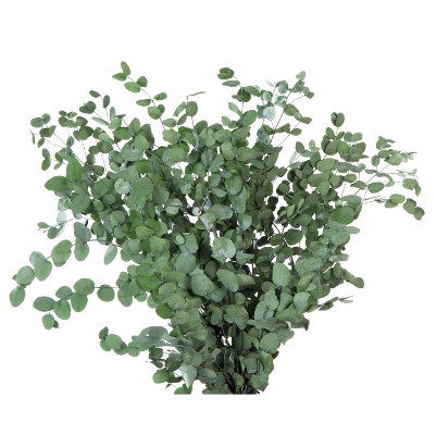<h4>Eucalyptus Gunny Green GUN/4103</h4>