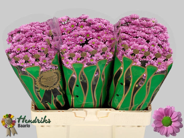 PP Flowers Webshop