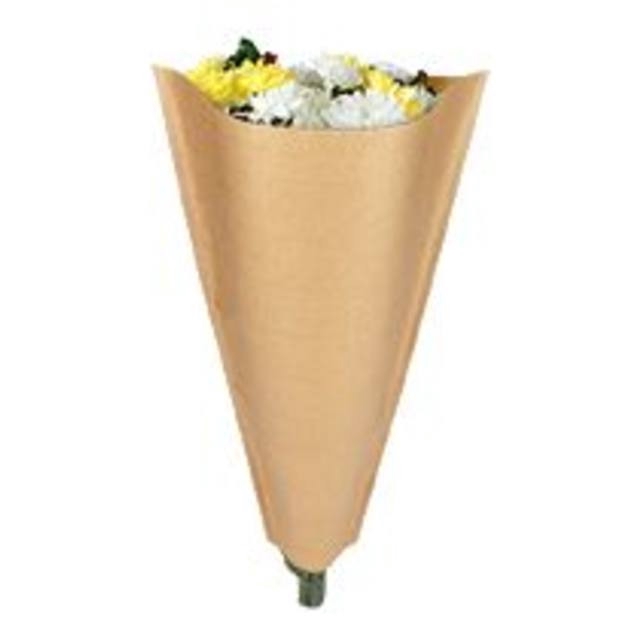 <h4>Hoezen Kraft 60*40*12cm x50</h4>