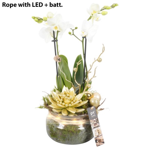 <h4>PTCHG5187 Arrangementen Kerst</h4>