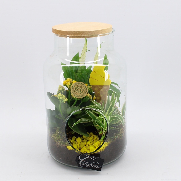 <h4>Arr. Kamerplant Bloei H%</h4>