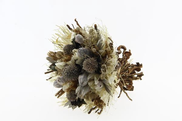 <h4>Df bouquet jl nat/bleached</h4>