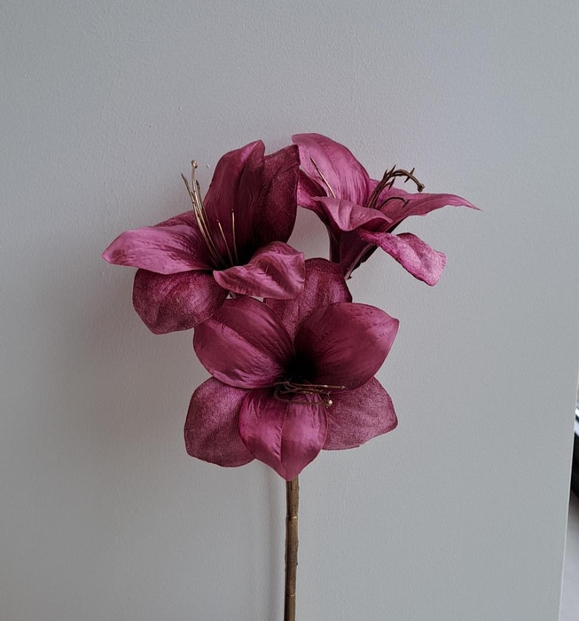 <h4>Af Amaryllis X3 L57cm Magenta</h4>
