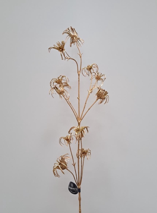 <h4>Af Clematis Glt 108cm Gold</h4>