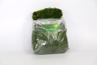 <h4>Moss flat recyclable plastic bag</h4>