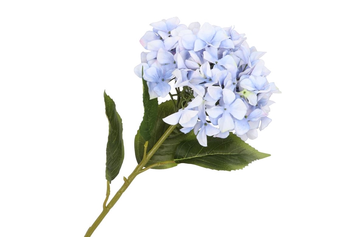 <h4>Silk Hortensia Xl Blue 109cm</h4>