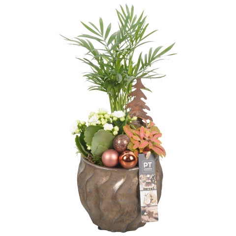 <h4>PTCHB6057 Arrangementen Kerst</h4>