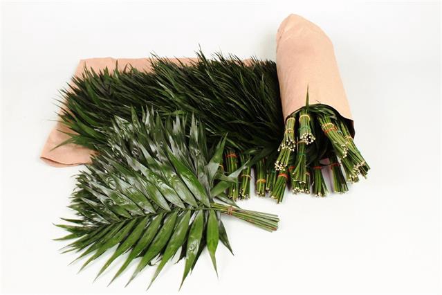 <h4>Leaf chico doro rolls</h4>