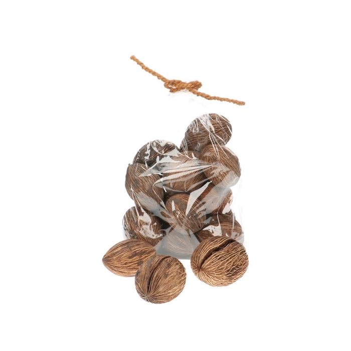 <h4>Droogdeco Mintolla bal 6-10cm x20</h4>