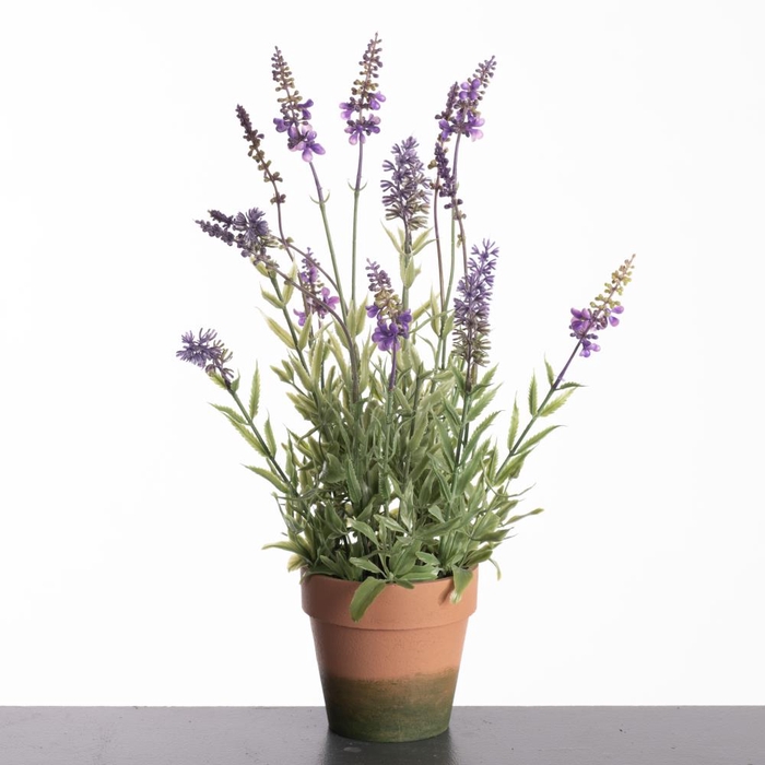 <h4>Af Lavender Pot H44cm Purple</h4>