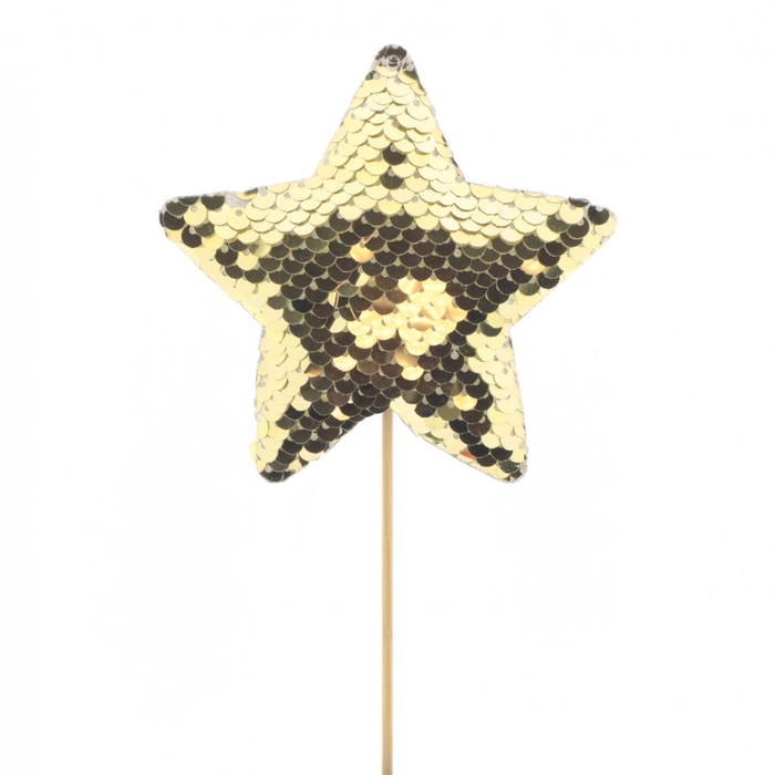 <h4>10cm Star Cheerzz 10cm</h4>