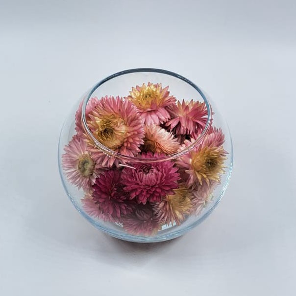 Bol d10cm helichrysum roze droog