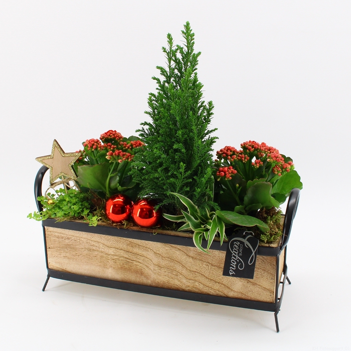 <h4>XMAS-23021 Kerst creatie</h4>