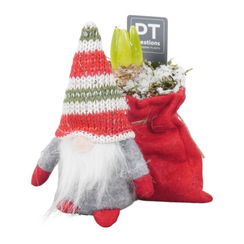 <h4>PTHCC8648 Arrangementen Kerst</h4>