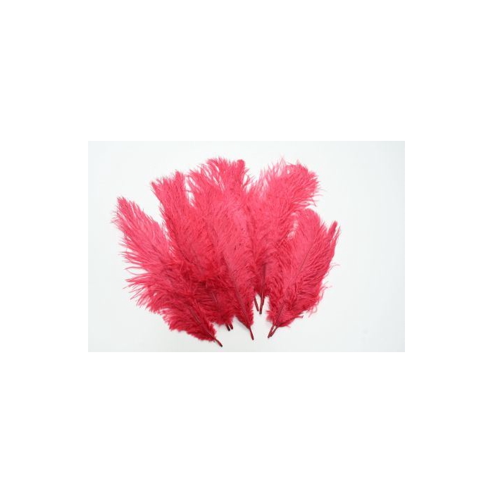 <h4>Basic Ostrich Feathers Small 10 Pc</h4>
