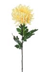 <h4>Af Chrysant L82cm Geel</h4>