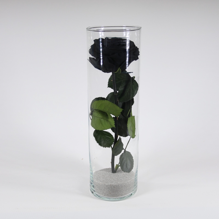 <h4>Cilinder d9x30h zwart glas</h4>