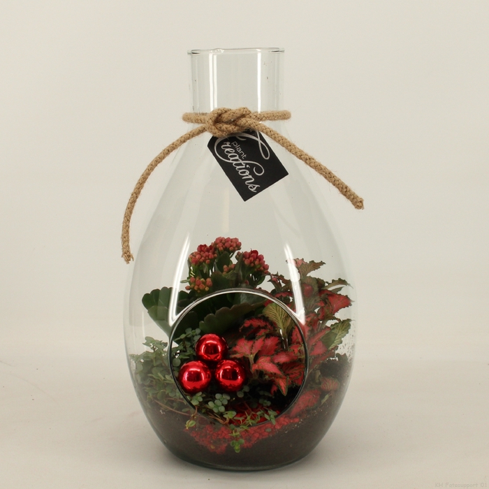 <h4>BAXM-2304R Xmas Fundamentals terrarium</h4>