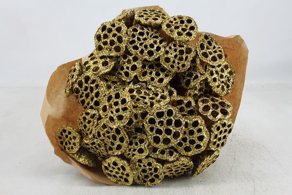 <h4>Droog Lotus Goud Glit X40</h4>