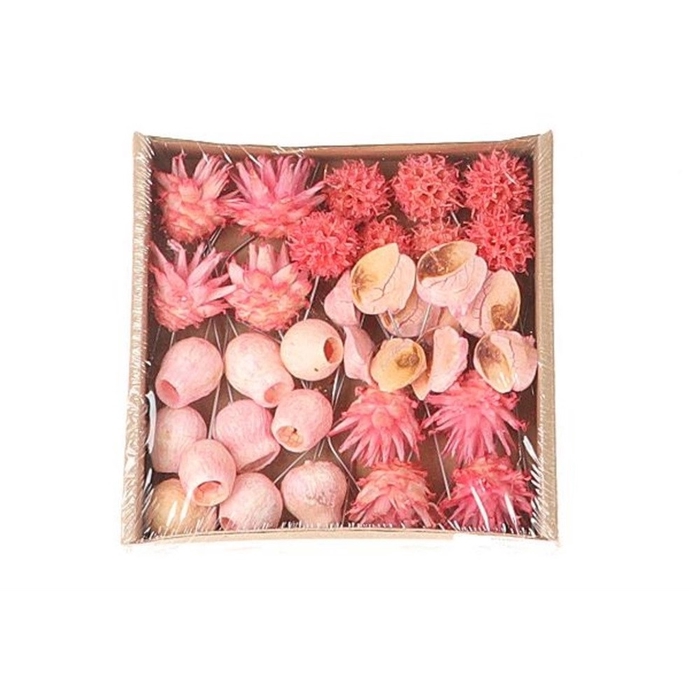<h4>Dried articles Exotic mix/wire x35</h4>