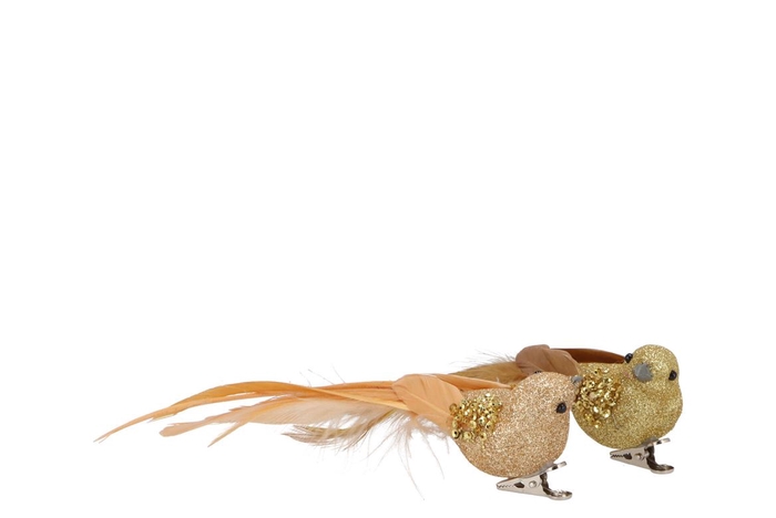 <h4>Deco shine bird clip champagne/gold 16cm ass p/2</h4>