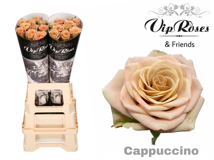 Vip Roses Webshop