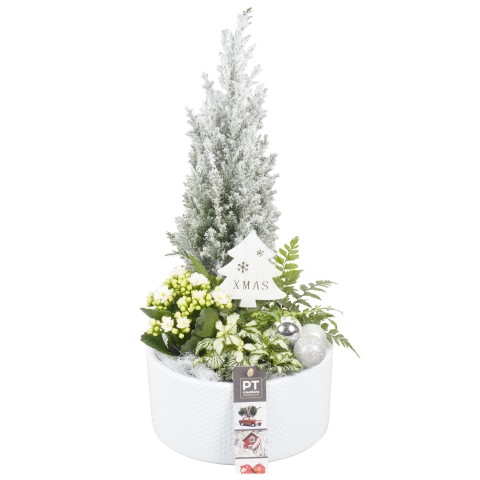 <h4>PTCHS7347 Arrangementen Kerst</h4>