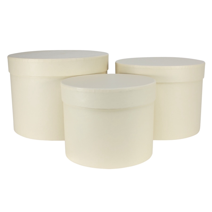 <h4>Bouquetholder Hatbox Paris S/3 d19*14.5cm</h4>
