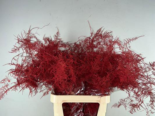<h4>Asp. Lang Getopt Red It</h4>