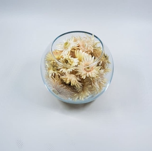 Bol d10cm helichrysum wit droog