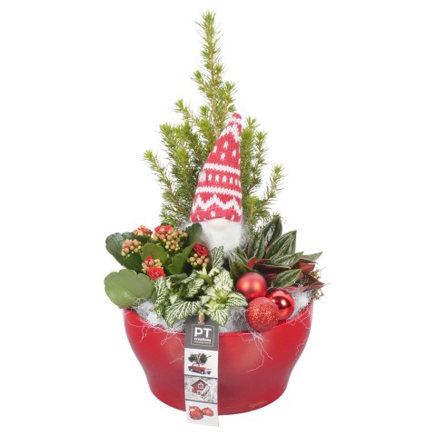<h4>PTCHR4250 Arrangementen Kerst</h4>
