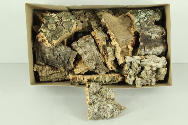 <h4>Cork Pieces 10x15cm Box</h4>