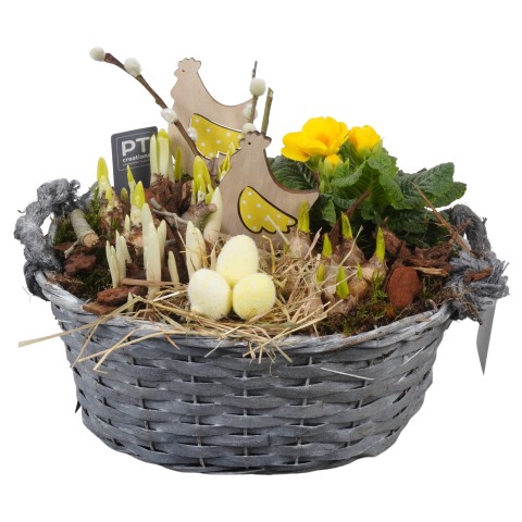 <h4>CC2365 Arrangementen kamerplanten</h4>