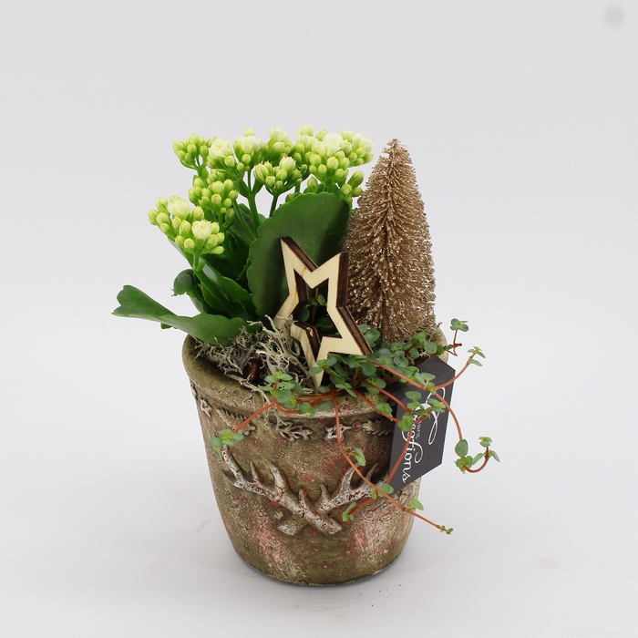 <h4>XMAS-23099 Kerst creatie</h4>