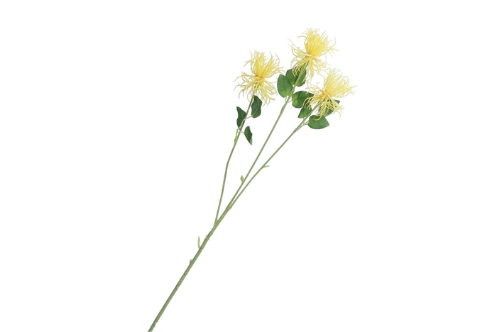 <h4>Silk Tillandsia Yellow 79cm</h4>