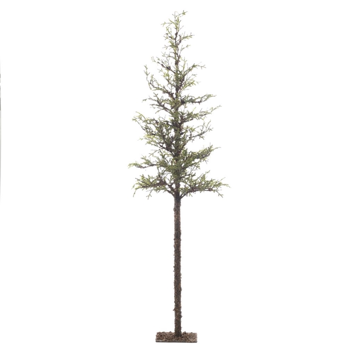 <h4>Af Larixtree Stem 220cm Green</h4>