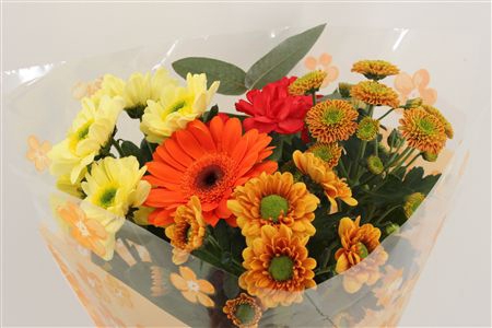 <h4>Bouquet 5-7 stem orange</h4>
